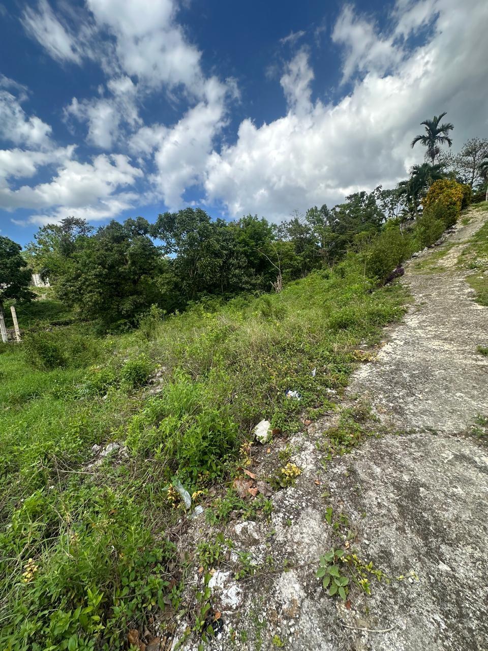 Residential-Land-for-Sale-in-Mile-Gully-Manchester-Jamaica Seventh image of Land Part of Mile Gully, in MILE GULLY, Manchester, Jamaica - property is For Sale