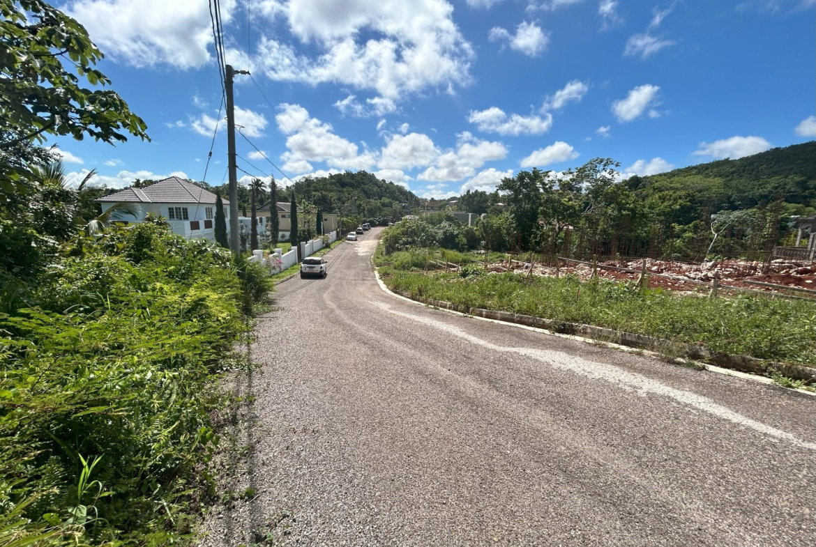 Tenth image of Lot 8 Fairfield Mountain, Manch in Fairfield Mountain, Manchester, Jamaica - property is For Sale