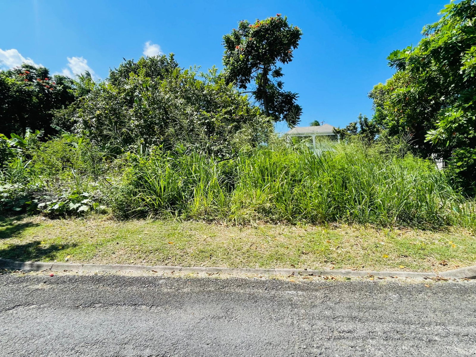 Third image of 151 Milano Drive in Vista Del Mar, St. Ann, Jamaica - property is For Sale