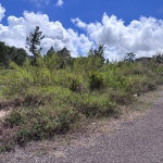 First image of 216 New Wales, New Port, Manc in Newport, Manchester, Jamaica - property is For Sale