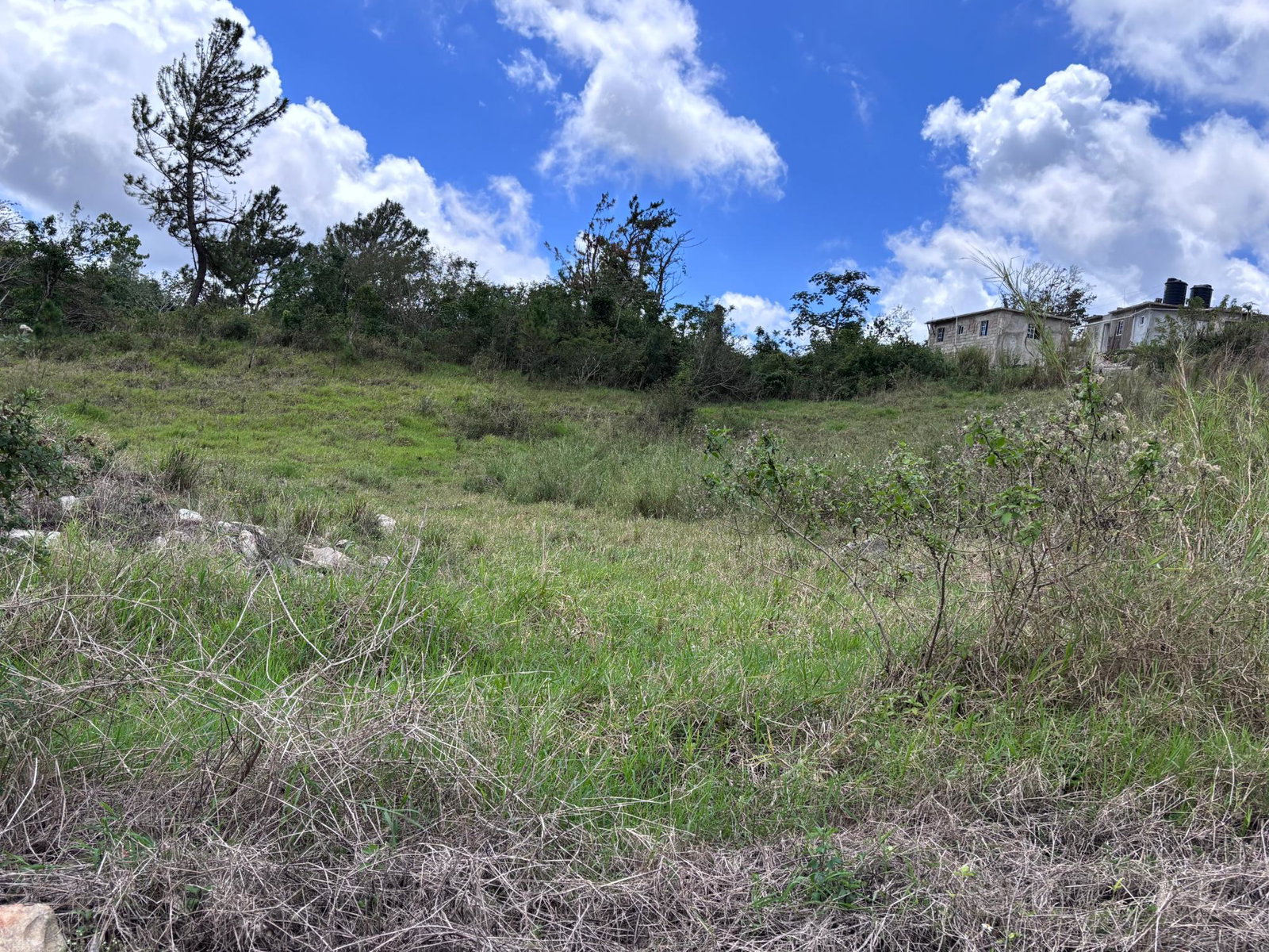 Fourth image of 216 New Wales, New Port, Manc in Newport, Manchester, Jamaica - property is For Sale