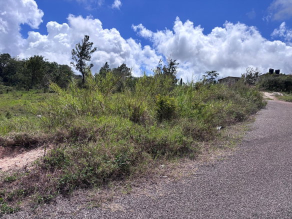 First image of 216 New Wales, New Port, Manc in Newport, Manchester, Jamaica - property is For Sale