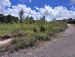 First image of 216 New Wales, New Port, Manc in Newport, Manchester, Jamaica - property is For Sale