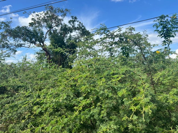 Second image of 35 Chateau in May Pen, Clarendon, Jamaica - property is For Sale