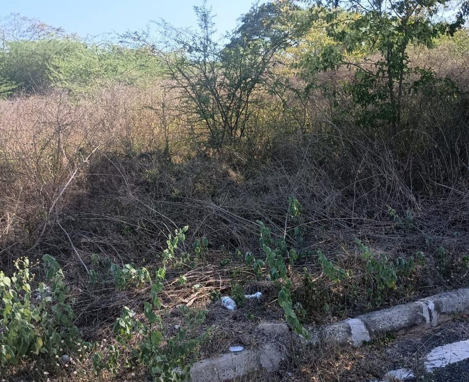 Eleventh image of Lot 101- Aqueduct Country Club, bu in Bushy Park, St. Catherine, Jamaica - property is For Sale