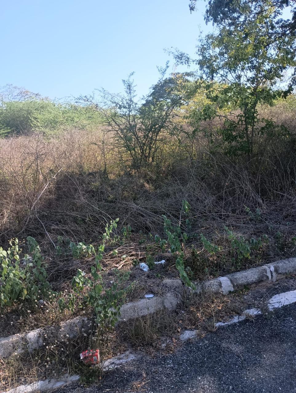 Eleventh image of Lot 101- Aqueduct Country Club, bu in Bushy Park, St. Catherine, Jamaica - property is For Sale