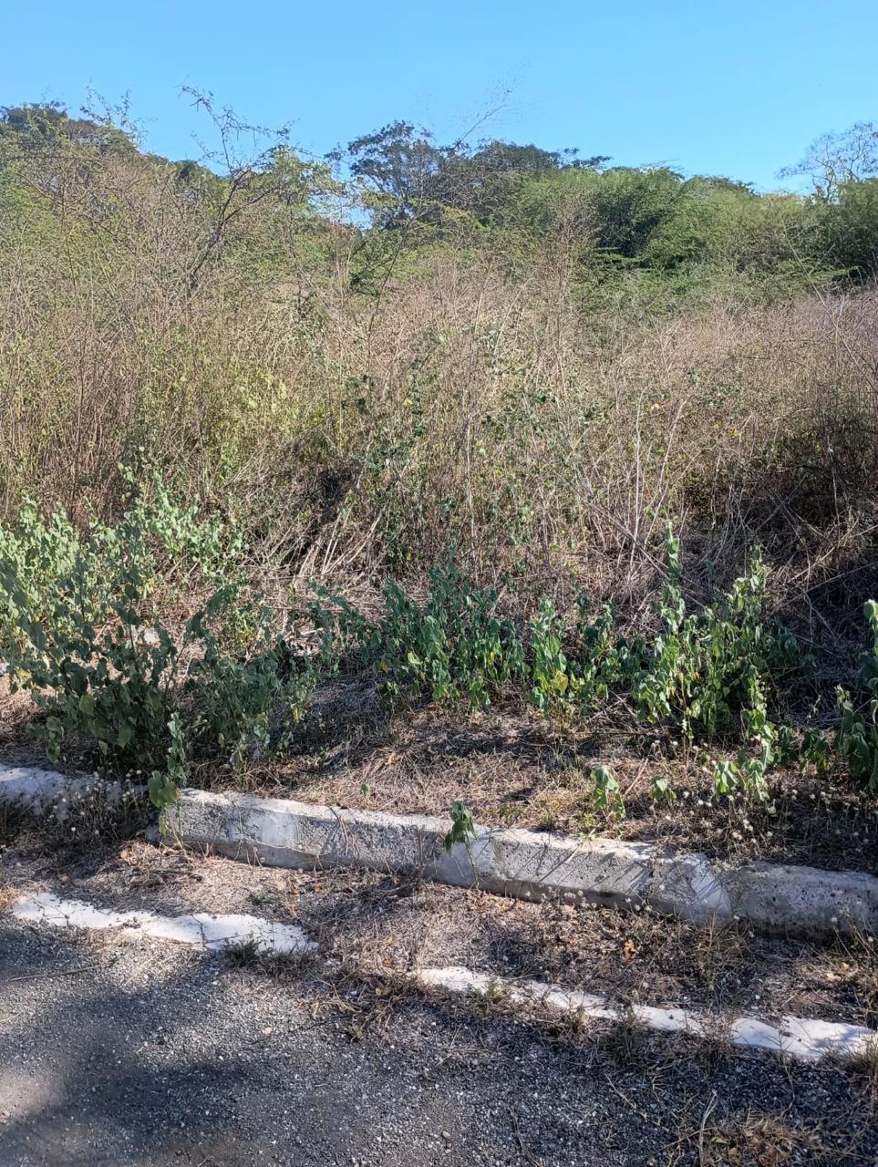 Thirteenth image of Lot 101- Aqueduct Country Club, bu in Bushy Park, St. Catherine, Jamaica - property is For Sale