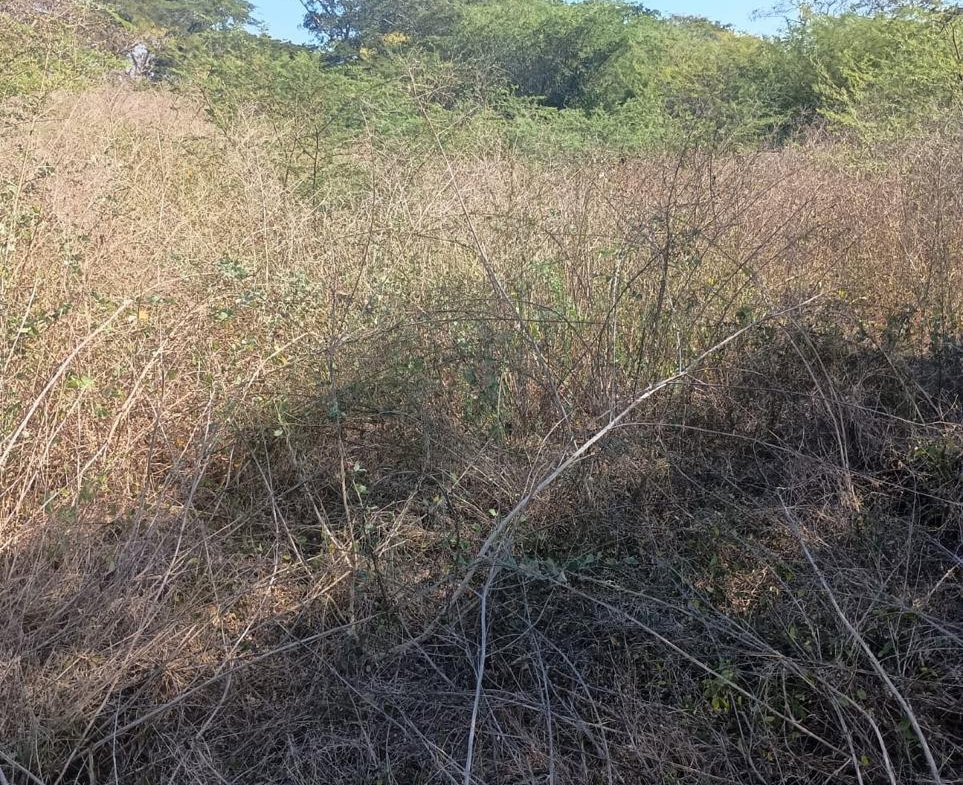 Fourteenth image of Lot 101- Aqueduct Country Club, bu in Bushy Park, St. Catherine, Jamaica - property is For Sale