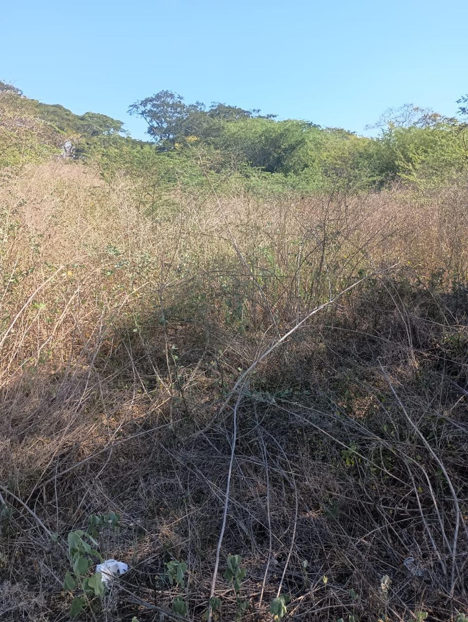 Fourteenth image of Lot 101- Aqueduct Country Club, bu in Bushy Park, St. Catherine, Jamaica - property is For Sale