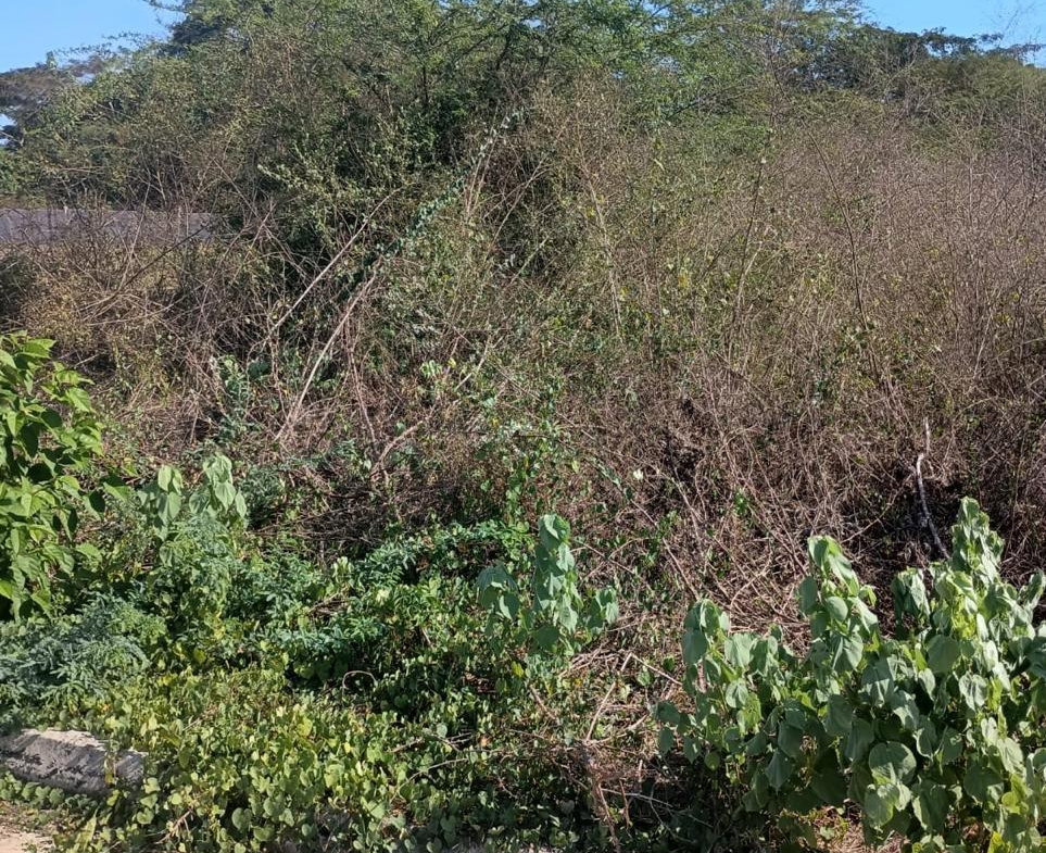 Fourth image of Lot 101- Aqueduct Country Club, bu in Bushy Park, St. Catherine, Jamaica - property is For Sale