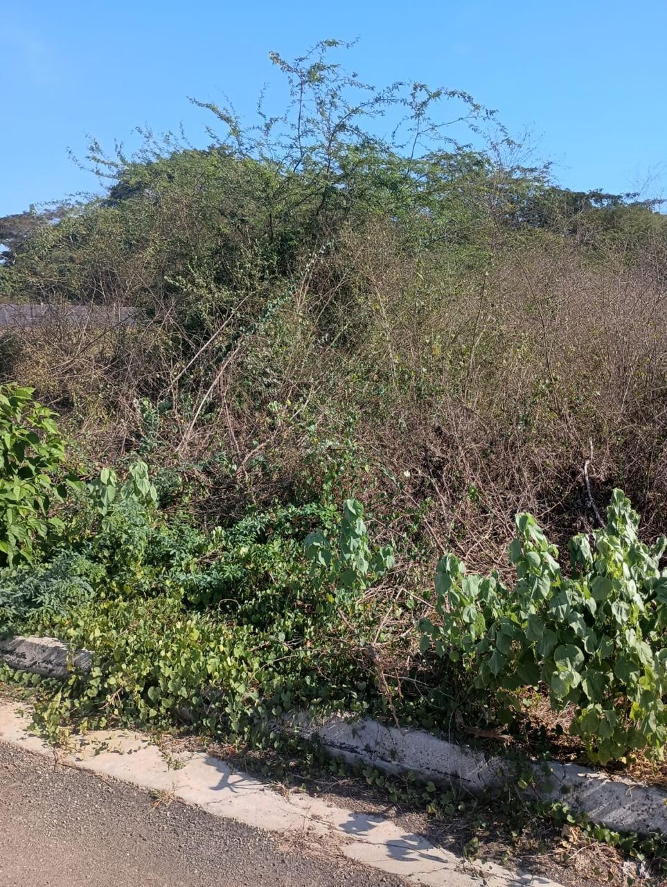 Fourth image of Lot 101- Aqueduct Country Club, bu in Bushy Park, St. Catherine, Jamaica - property is For Sale