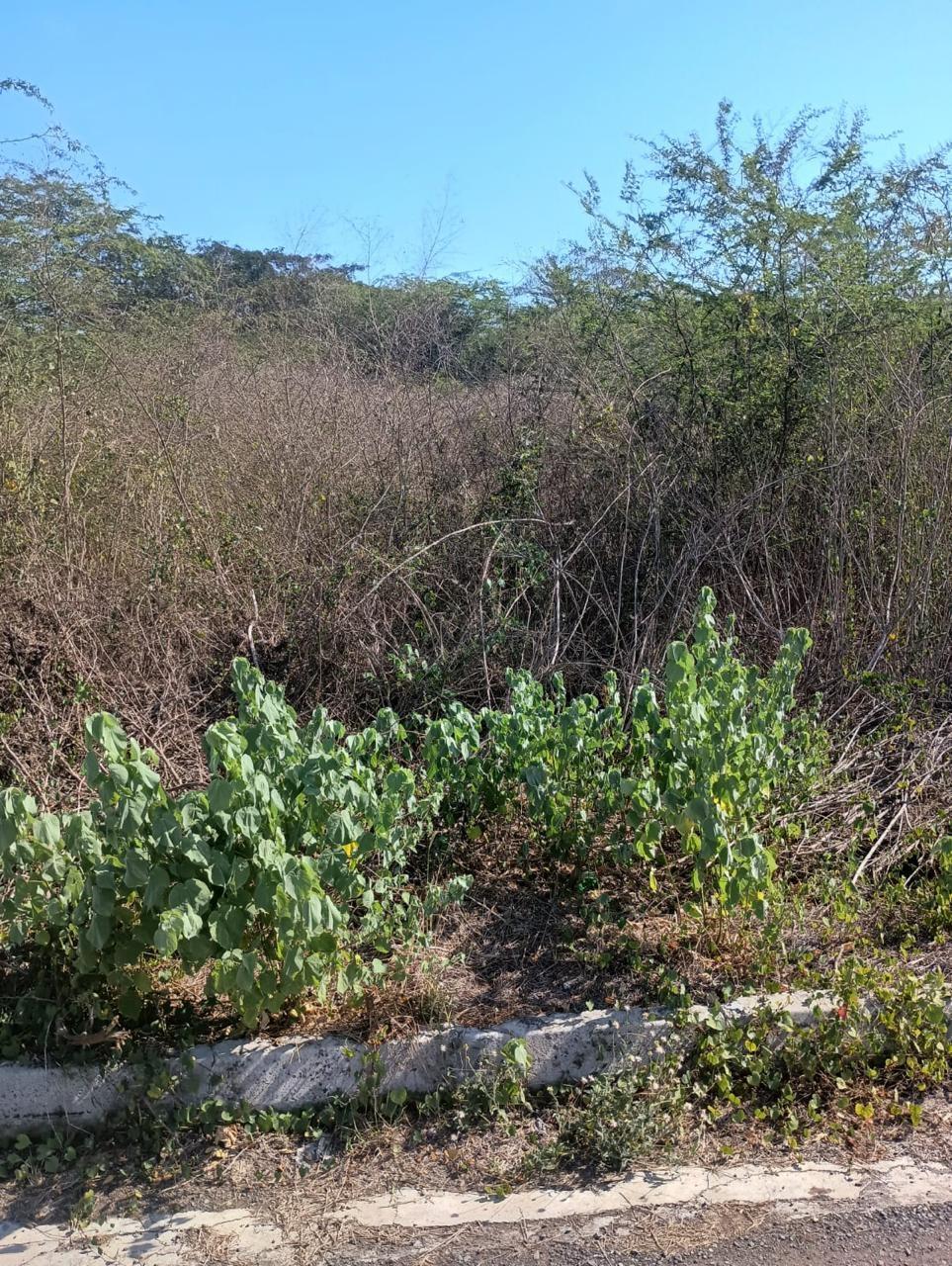 Fifth image of Lot 101- Aqueduct Country Club, bu in Bushy Park, St. Catherine, Jamaica - property is For Sale