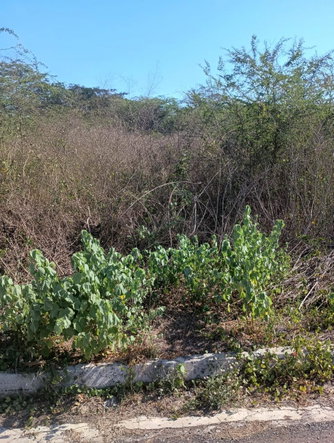 Fifth image of Lot 101- Aqueduct Country Club, bu in Bushy Park, St. Catherine, Jamaica - property is For Sale