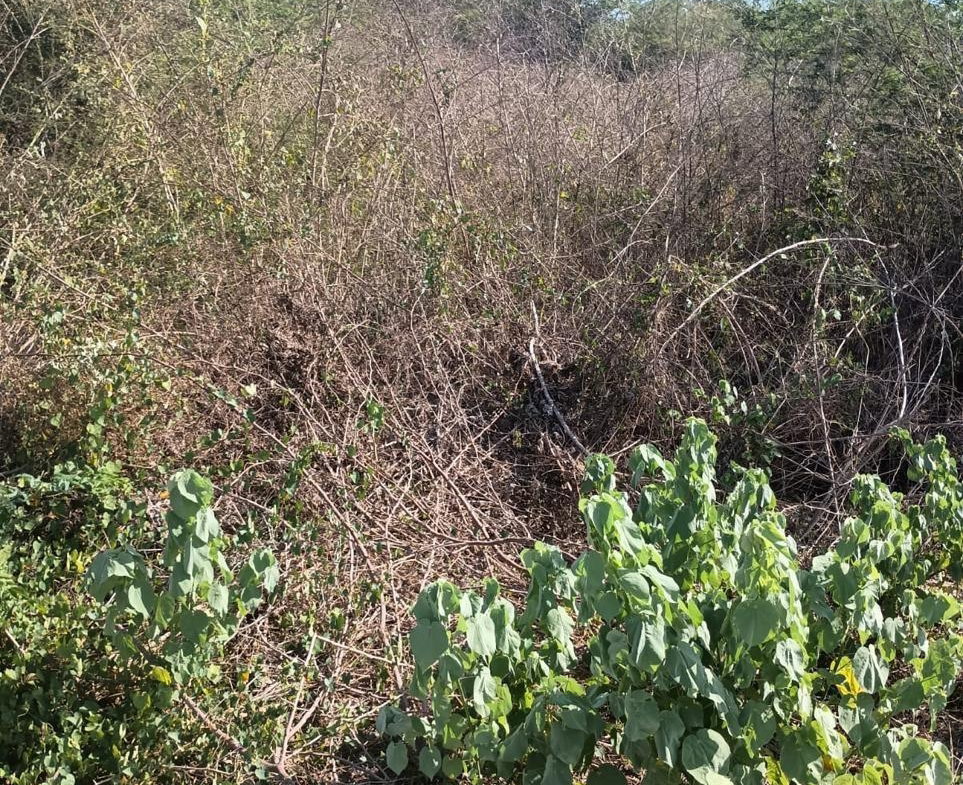 Seventh image of Lot 101- Aqueduct Country Club, bu in Bushy Park, St. Catherine, Jamaica - property is For Sale