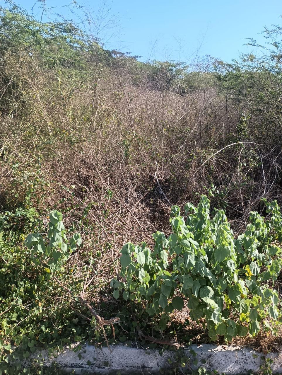 Seventh image of Lot 101- Aqueduct Country Club, bu in Bushy Park, St. Catherine, Jamaica - property is For Sale