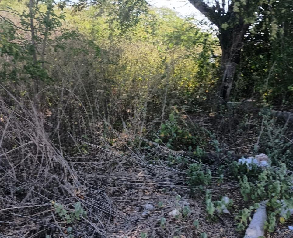 Eighth image of Lot 101- Aqueduct Country Club, bu in Bushy Park, St. Catherine, Jamaica - property is For Sale
