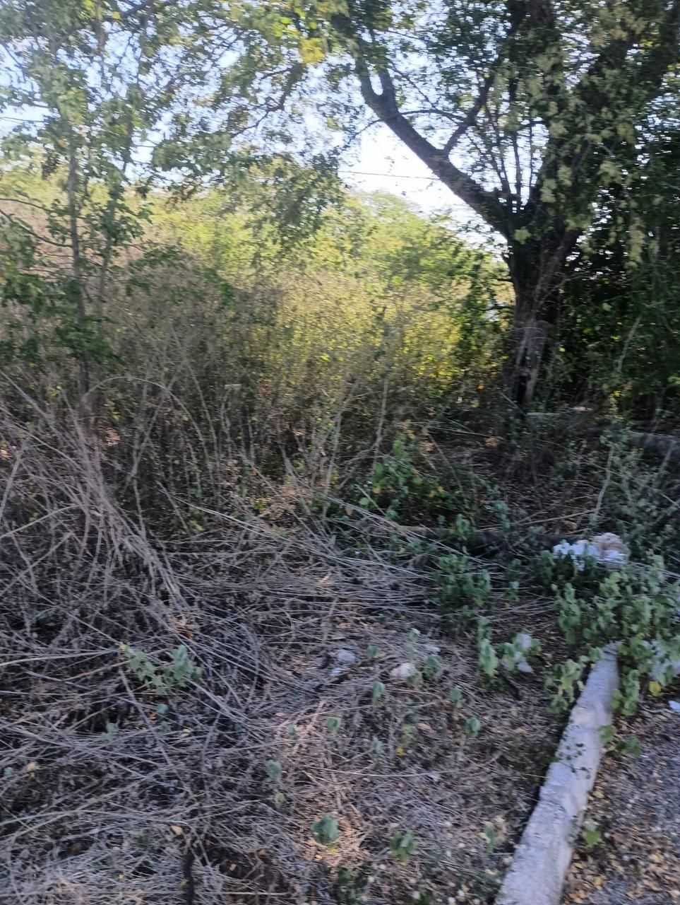 Eighth image of Lot 101- Aqueduct Country Club, bu in Bushy Park, St. Catherine, Jamaica - property is For Sale