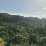 First image of 8e Coopers Hill Heights in Red Hills, St. Andrew, Jamaica - property is For Sale