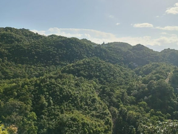 First image of 8e Coopers Hill Heights in Red Hills, St. Andrew, Jamaica - property is For Sale