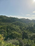 First image of 8e Coopers Hill Heights in Red Hills, St. Andrew, Jamaica - property is For Sale