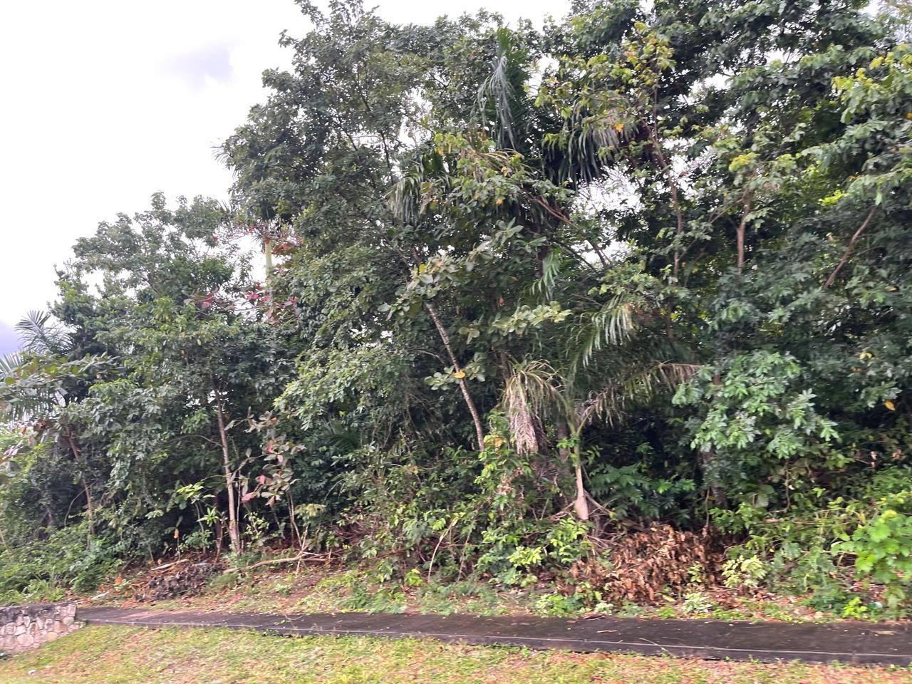 Sixth image of 334 Santa Gloria Crescent in St. Ann's Bay, St. Ann, Jamaica - property is For Sale