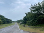 First image of 334 Santa Gloria Crescent in St. Ann's Bay, St. Ann, Jamaica - property is For Sale