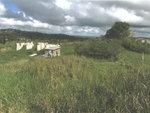 First image of 10 Dean’s Close, Hanson’s ru in Christiana, Manchester, Jamaica - property is For Sale