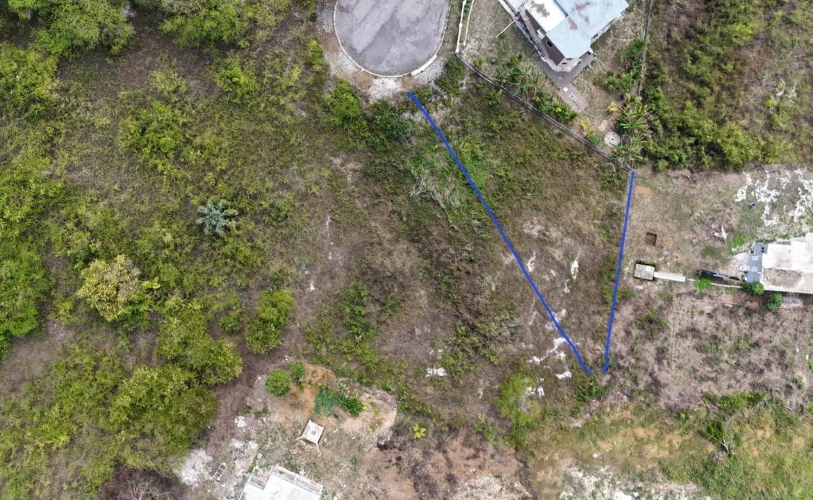 Eighth image of Lot 322- Palmbrook Estate Lacovia in Lacovia, St. Elizabeth, Jamaica - property is For Sale