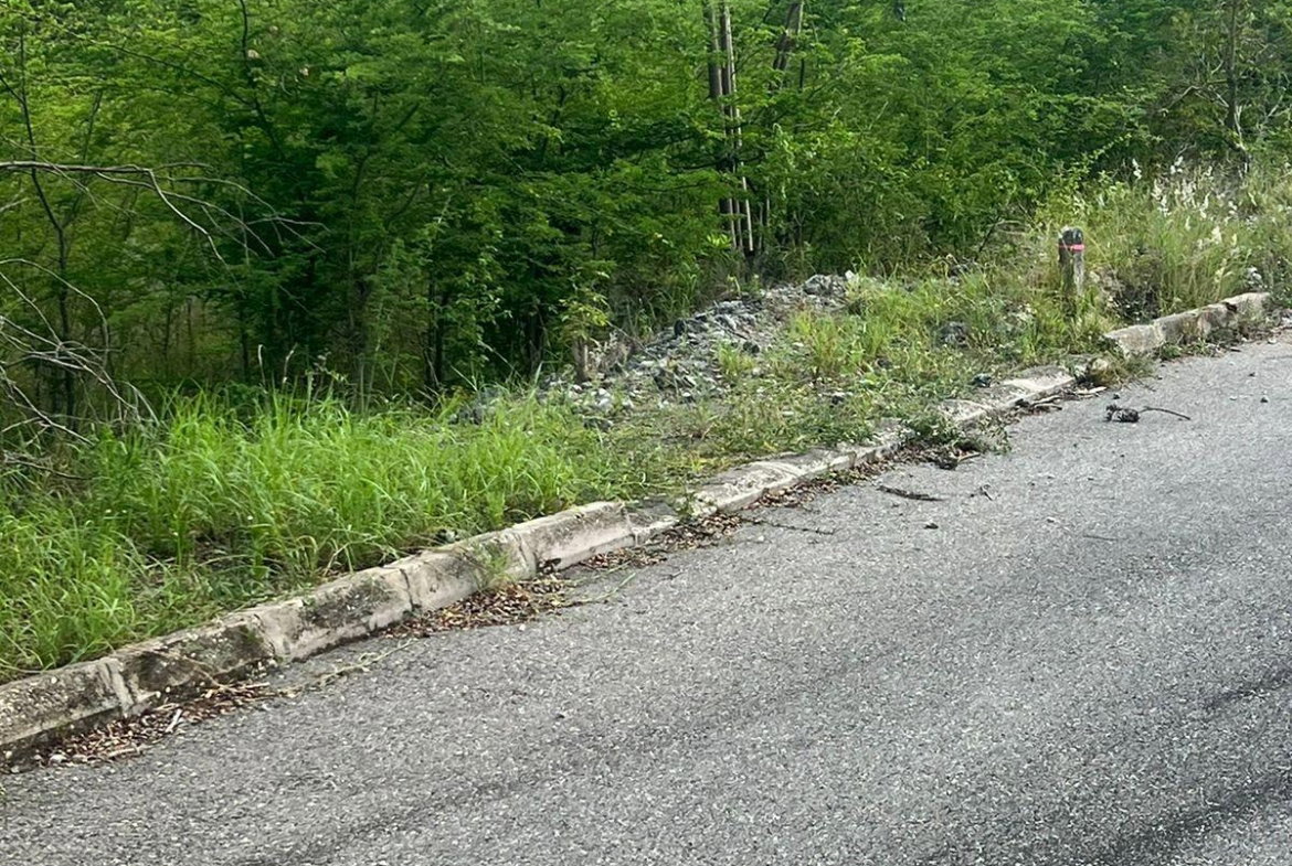 Twelfth image of 207 Cashoo, Palmbrook Estate in Lacovia, St. Elizabeth, Jamaica - property is For Sale