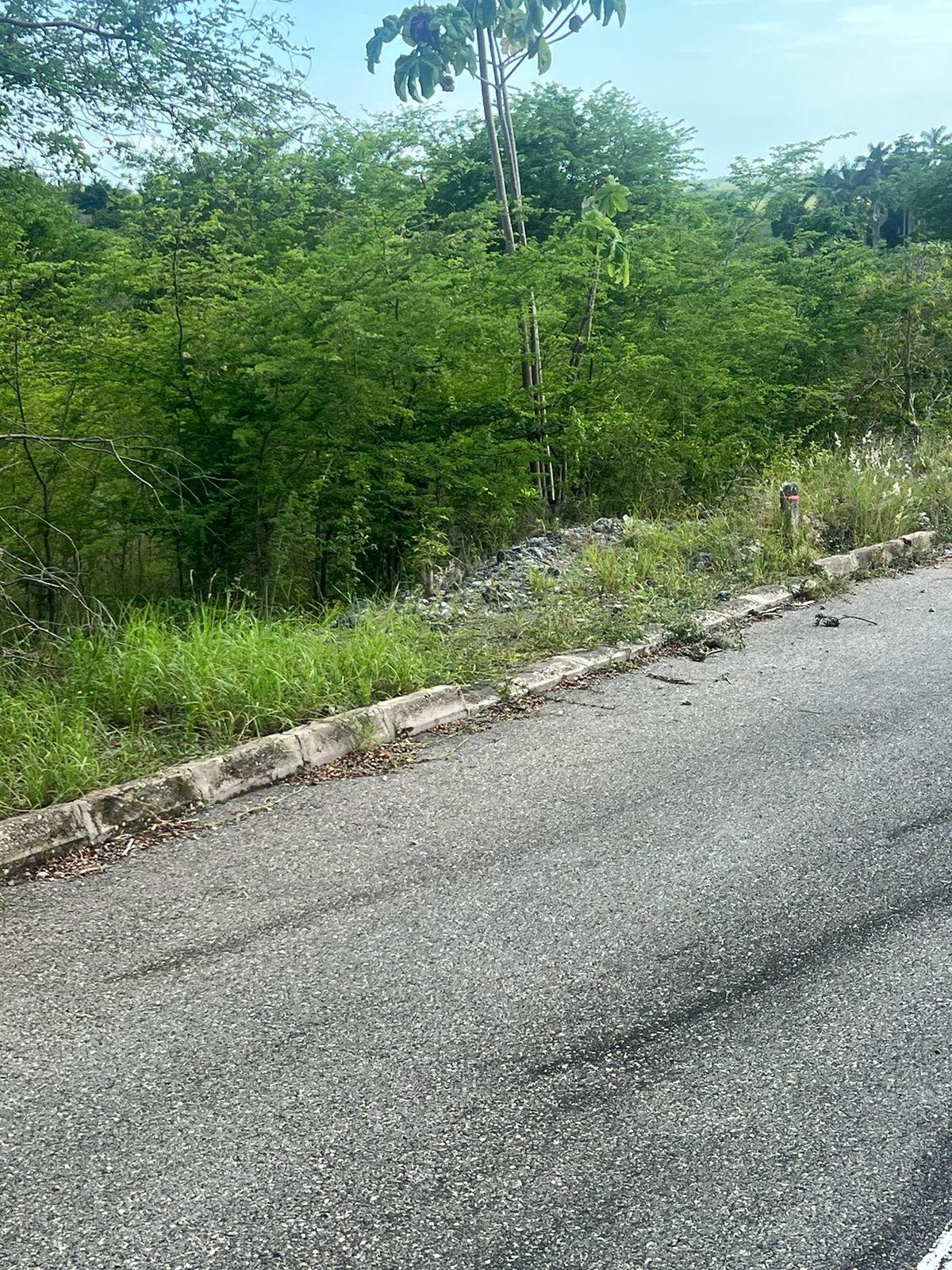 Residential-Lot-for-Sale-at-Palmbrook-Estate-St.-Elizabeth-Jamaica Twelfth image of 207 Cashoo, Palmbrook Estate in Lacovia, St. Elizabeth, Jamaica - property is For Sale