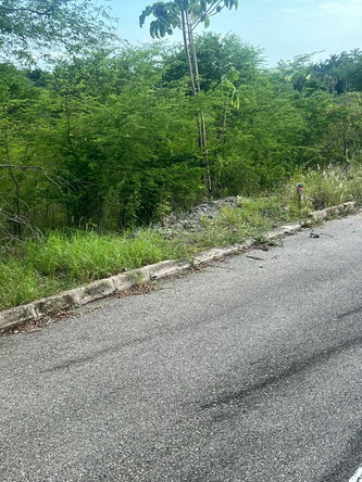 Twelfth image of 207 Cashoo, Palmbrook Estate in Lacovia, St. Elizabeth, Jamaica - property is For Sale
