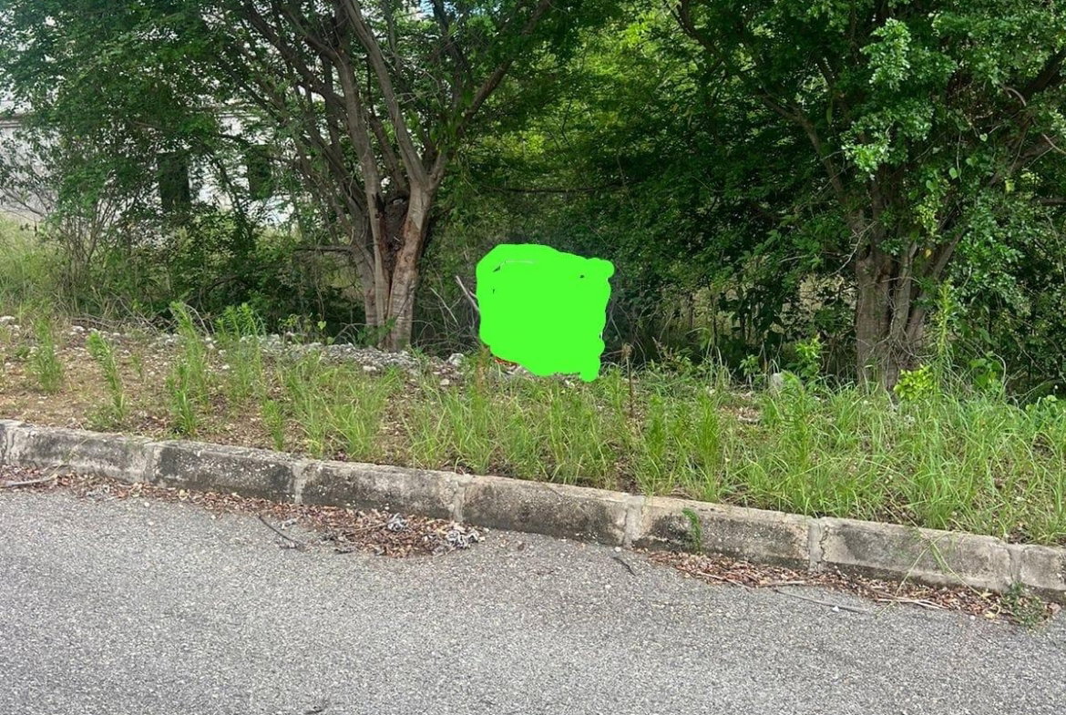 Thirteenth image of 207 Cashoo, Palmbrook Estate in Lacovia, St. Elizabeth, Jamaica - property is For Sale