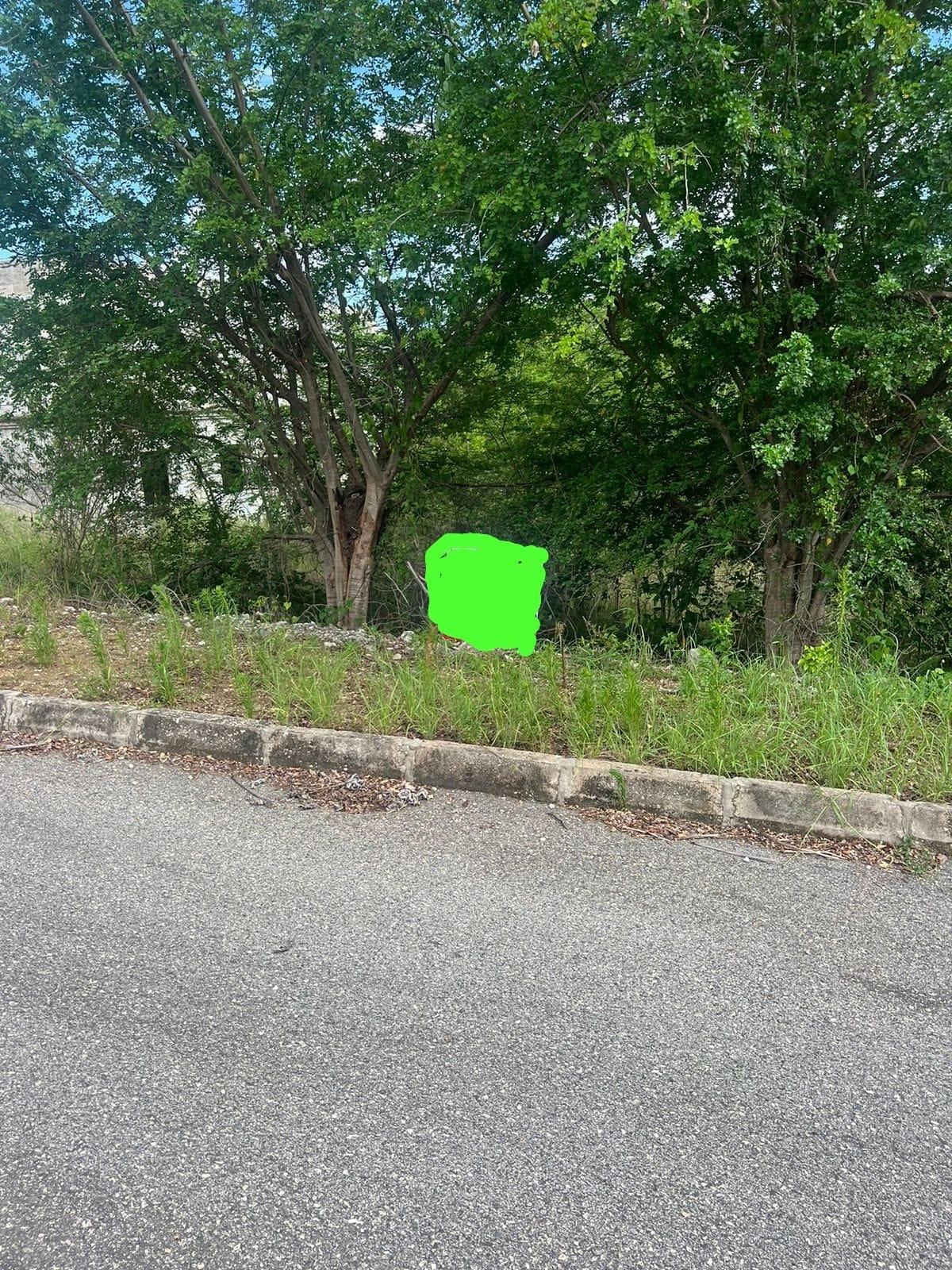 Residential-Lot-for-Sale-at-Palmbrook-Estate-St.-Elizabeth-Jamaica Thirteenth image of 207 Cashoo, Palmbrook Estate in Lacovia, St. Elizabeth, Jamaica - property is For Sale