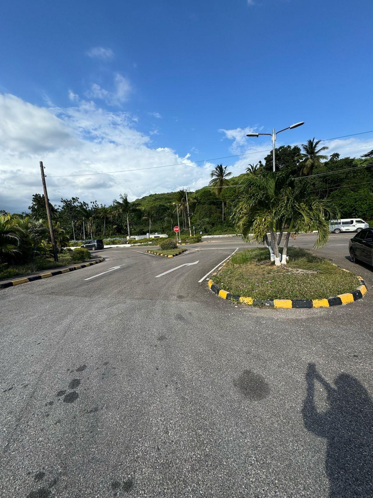 Residential-Lot-for-Sale-at-Palmbrook-Estate-St.-Elizabeth-Jamaica Sixteenth image of 207 Cashoo, Palmbrook Estate in Lacovia, St. Elizabeth, Jamaica - property is For Sale