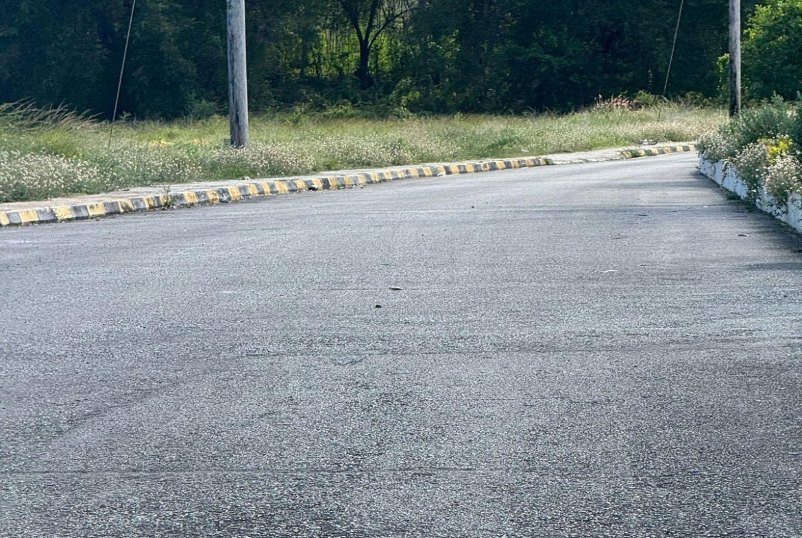 Sixth image of 207 Cashoo, Palmbrook Estate in Lacovia, St. Elizabeth, Jamaica - property is For Sale