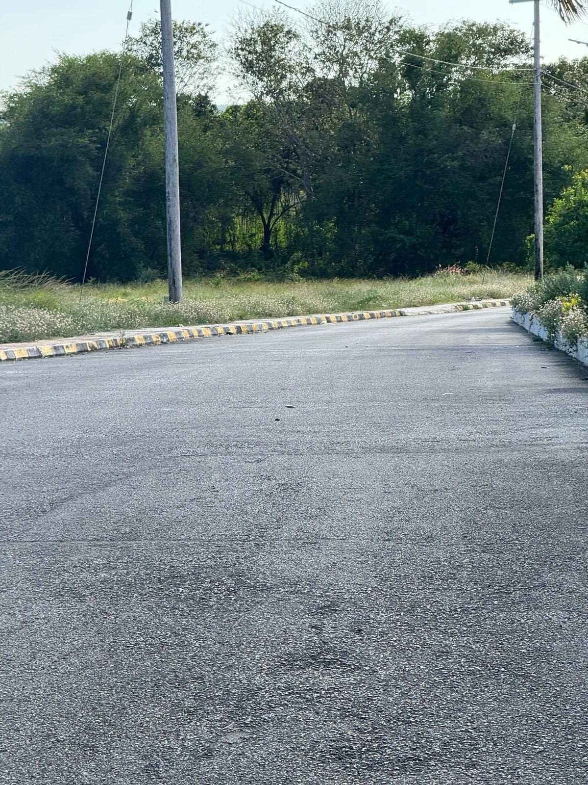 Residential-Lot-for-Sale-at-Palmbrook-Estate-St.-Elizabeth-Jamaica Sixth image of 207 Cashoo, Palmbrook Estate in Lacovia, St. Elizabeth, Jamaica - property is For Sale