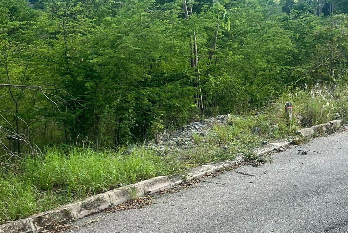 Seventh image of 207 Cashoo, Palmbrook Estate in Lacovia, St. Elizabeth, Jamaica - property is For Sale