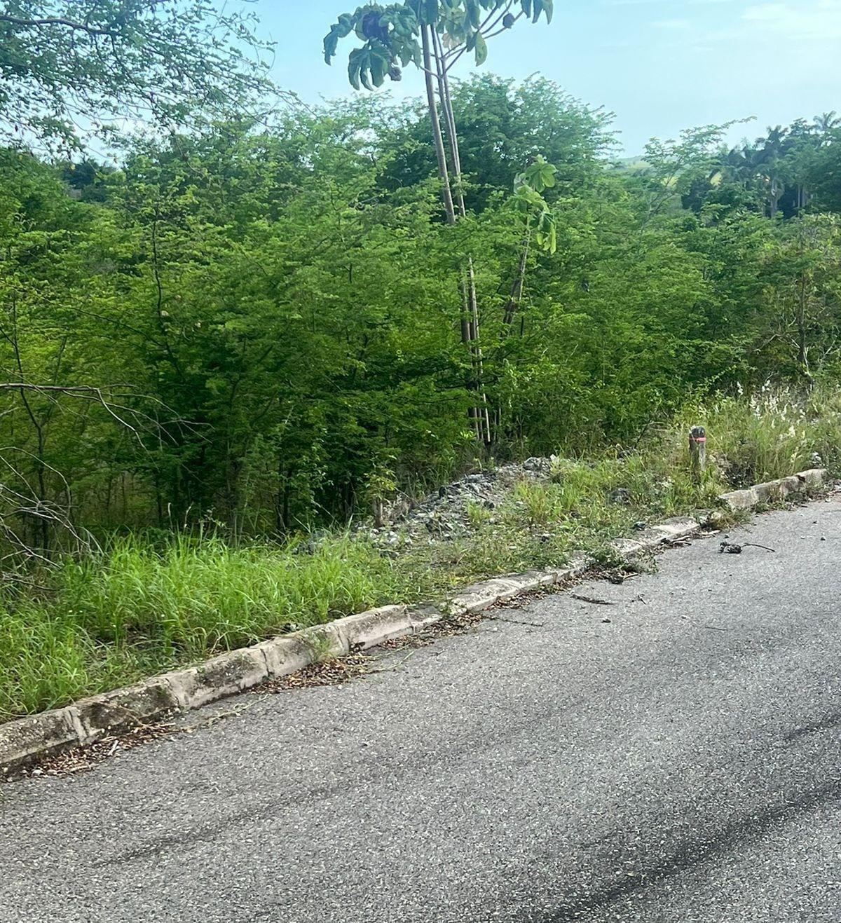 Residential-Lot-for-Sale-at-Palmbrook-Estate-St.-Elizabeth-Jamaica Seventh image of 207 Cashoo, Palmbrook Estate in Lacovia, St. Elizabeth, Jamaica - property is For Sale