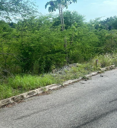 Seventh image of 207 Cashoo, Palmbrook Estate in Lacovia, St. Elizabeth, Jamaica - property is For Sale