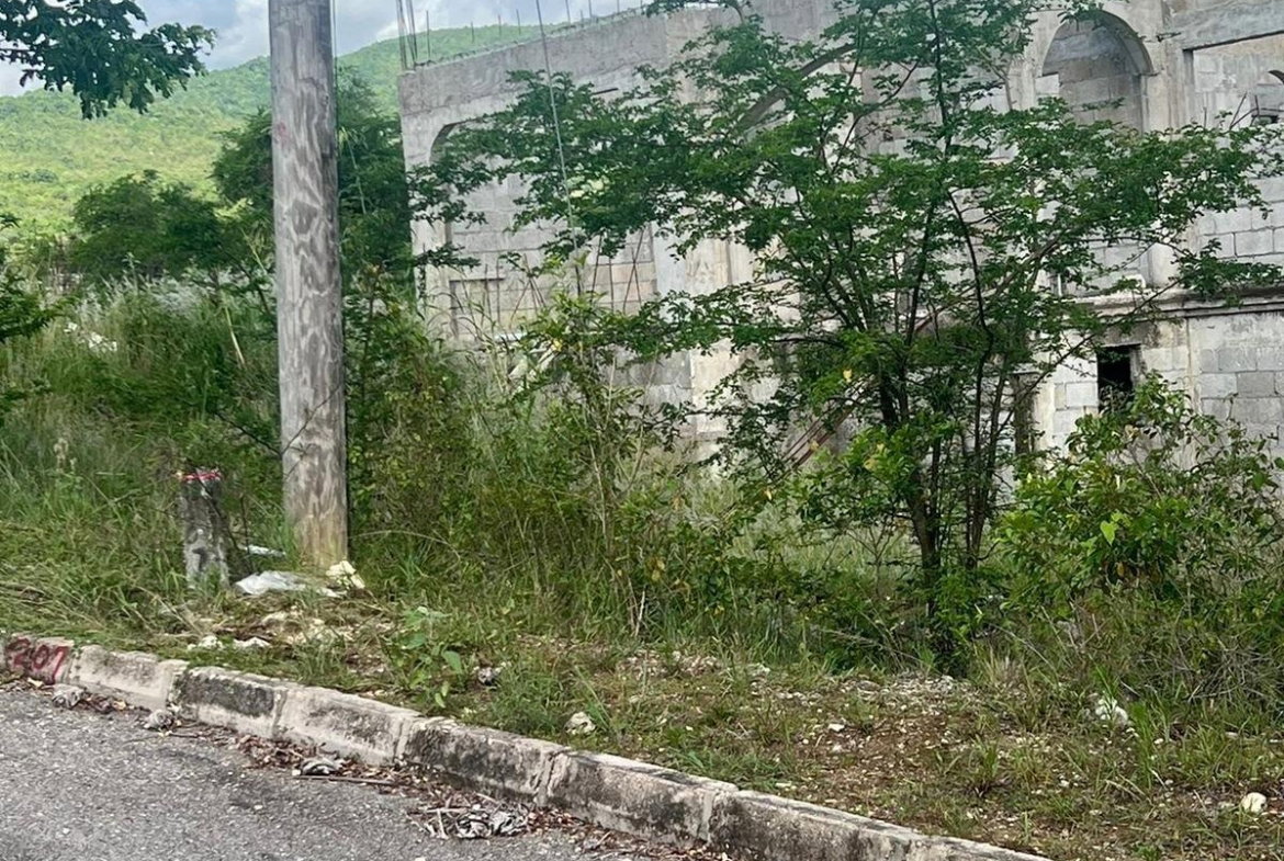 Eighth image of 207 Cashoo, Palmbrook Estate in Lacovia, St. Elizabeth, Jamaica - property is For Sale