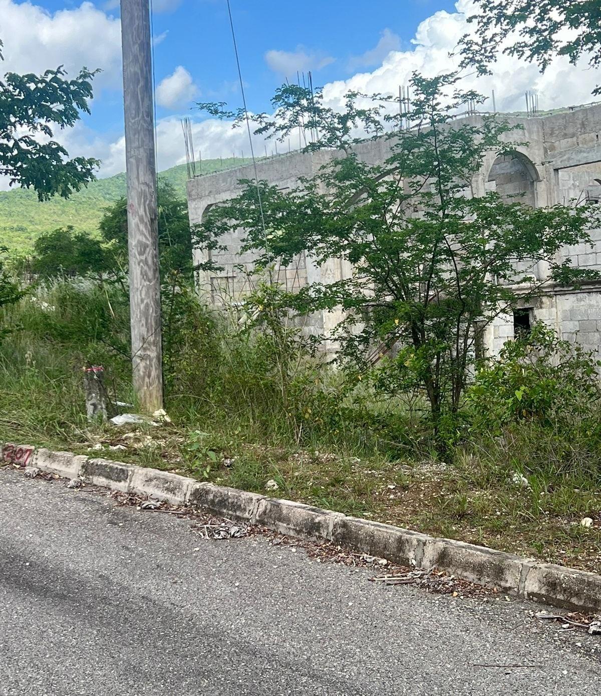 Residential-Lot-for-Sale-at-Palmbrook-Estate-St.-Elizabeth-Jamaica Eighth image of 207 Cashoo, Palmbrook Estate in Lacovia, St. Elizabeth, Jamaica - property is For Sale