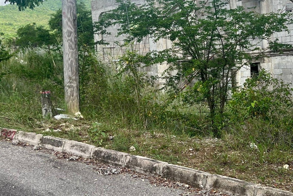 Ninth image of 207 Cashoo, Palmbrook Estate in Lacovia, St. Elizabeth, Jamaica - property is For Sale