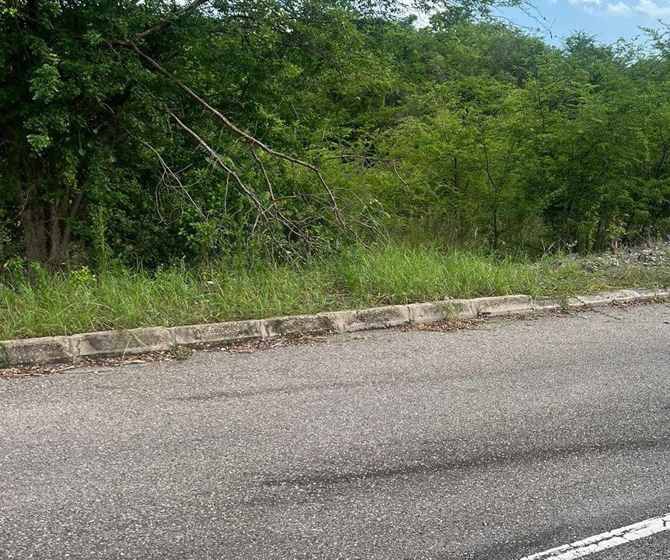 Tenth image of 207 Cashoo, Palmbrook Estate in Lacovia, St. Elizabeth, Jamaica - property is For Sale