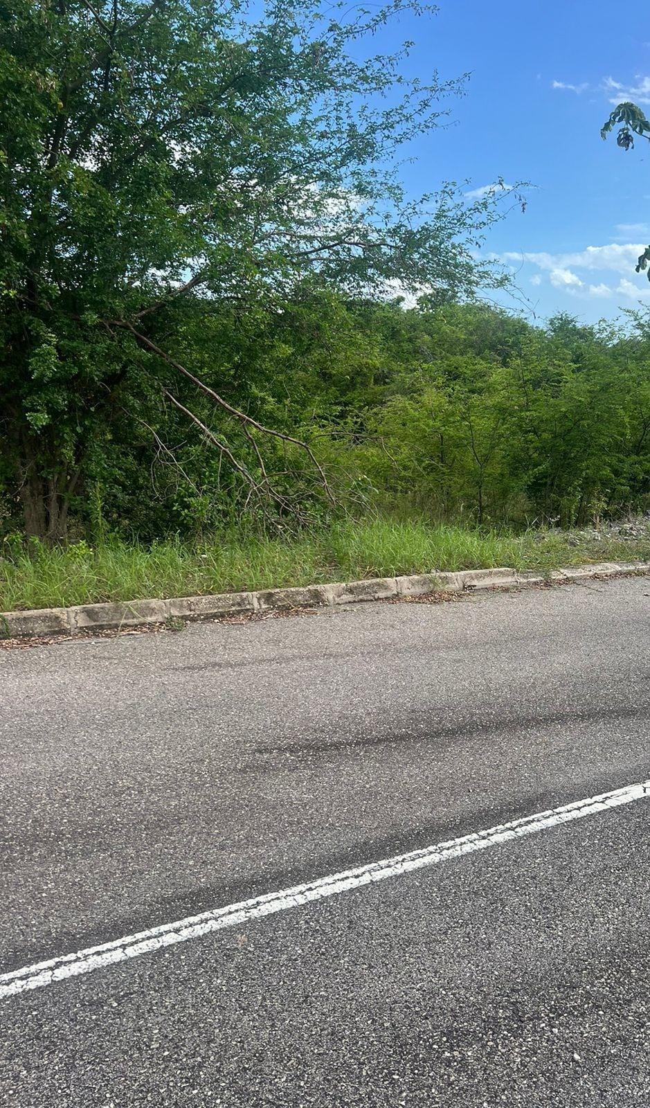 Residential-Lot-for-Sale-at-Palmbrook-Estate-St.-Elizabeth-Jamaica Tenth image of 207 Cashoo, Palmbrook Estate in Lacovia, St. Elizabeth, Jamaica - property is For Sale