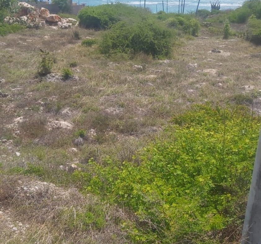 Fourth image of 107b- Sandhills Bay, Hellshier in Hellshire Heights, St. Catherine, Jamaica - property is For Sale