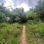 First image of 189- st Michael Terrace in Red Hills, St. Andrew, Jamaica - property is For Sale