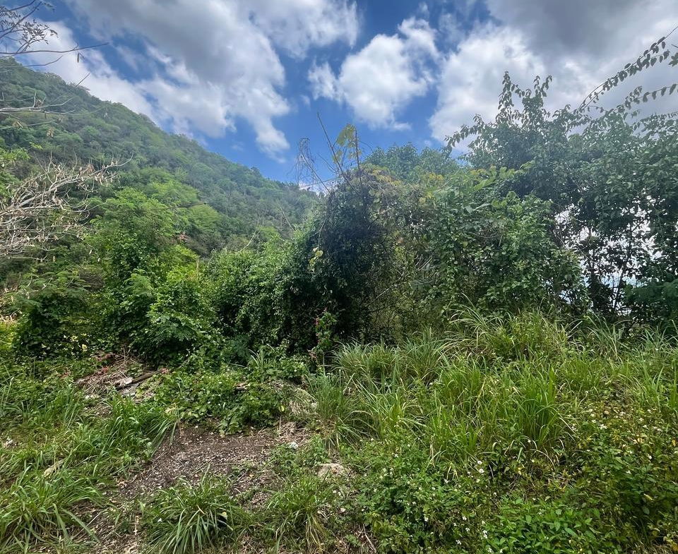 Third image of 189- st Michael Terrace in Red Hills, St. Andrew, Jamaica - property is For Sale