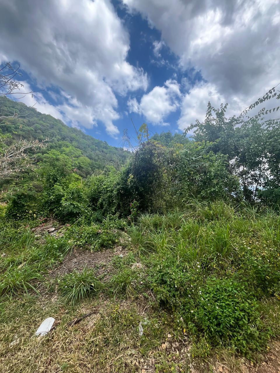 Third image of 189- st Michael Terrace in Red Hills, St. Andrew, Jamaica - property is For Sale