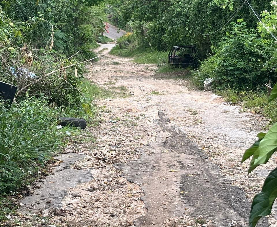 Fifth image of 189- st Michael Terrace in Red Hills, St. Andrew, Jamaica - property is For Sale