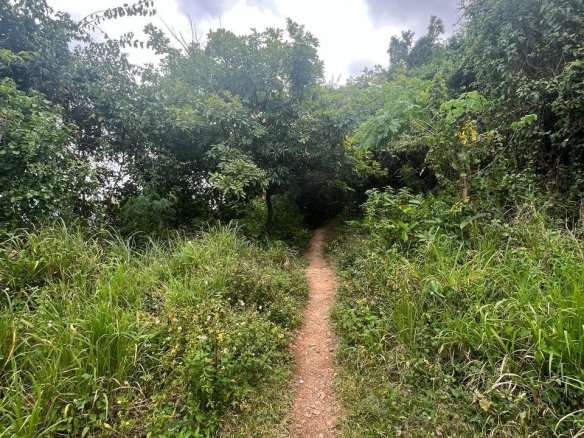 First image of 189- st Michael Terrace in Red Hills, St. Andrew, Jamaica - property is For Sale